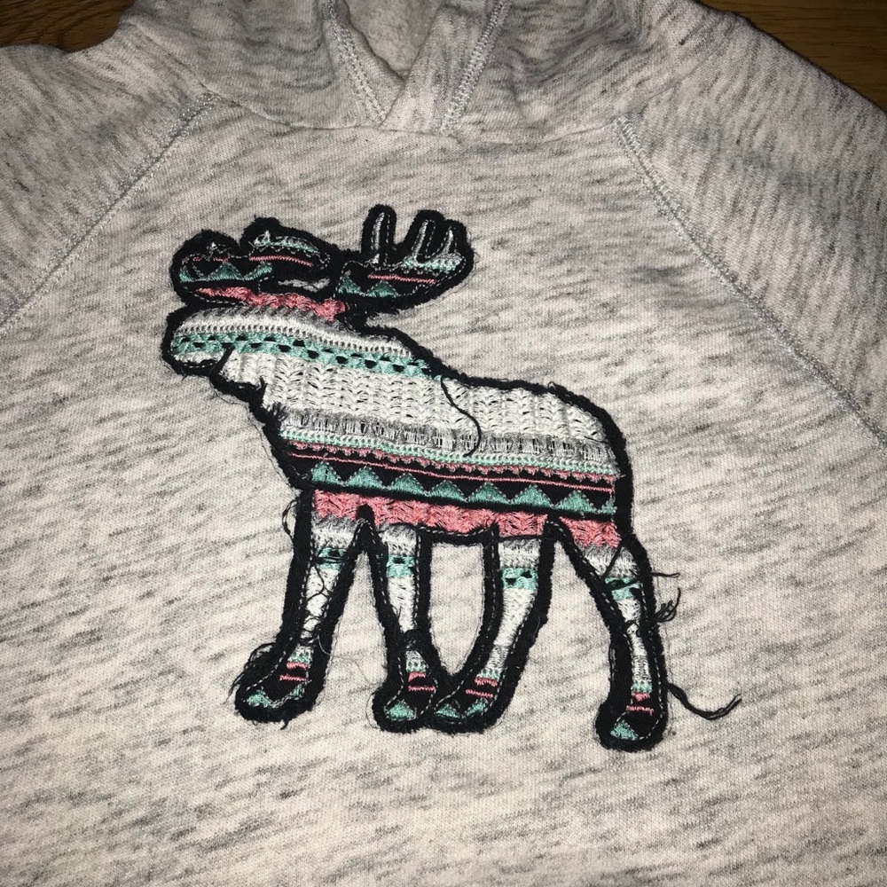 Grey Abercrombie Hoodie w/ Distressed Moose - Picture 2 of 4
